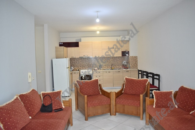 Apartament 2 + 1 me qera prane Liqenit Artificial ne Tirane (TRR-1014-31b)